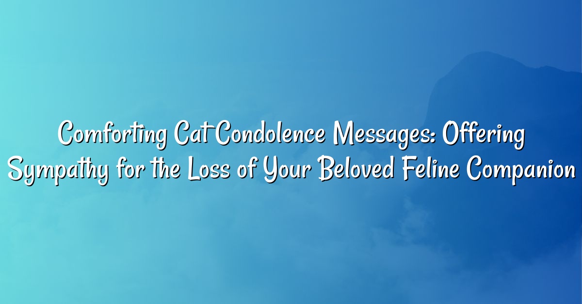 Comforting Cat Condolence Messages: Offering Sympathy for the Loss of Your Beloved Feline Companion